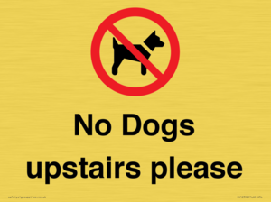 No Dogs upstairs please 